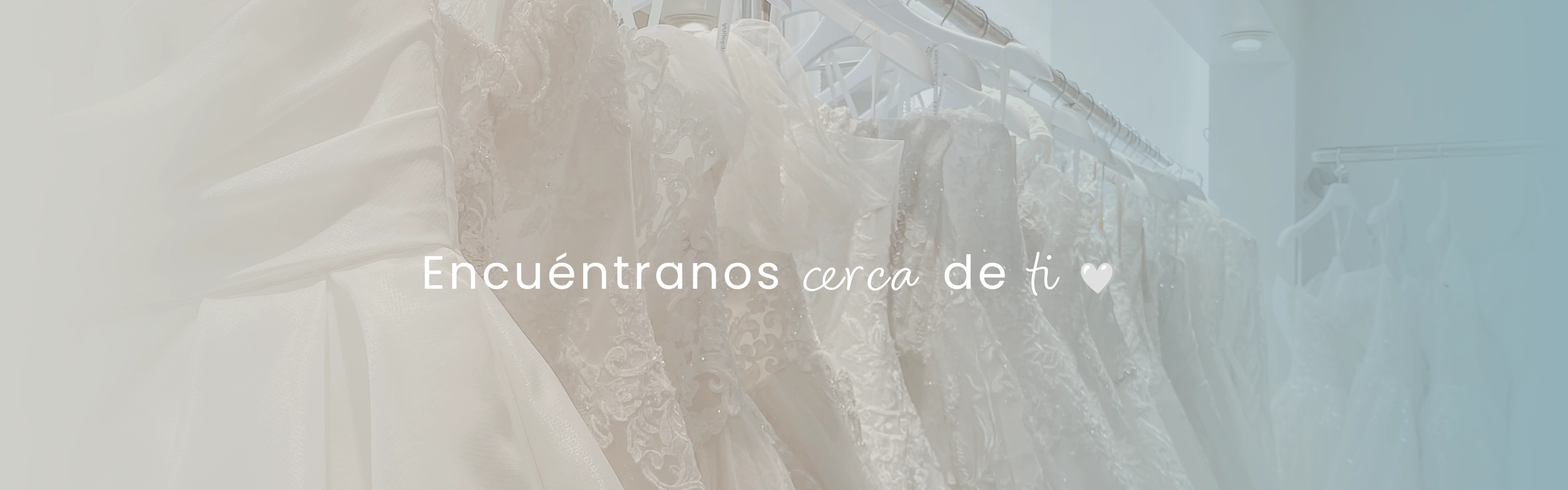 Portada Distribuidores